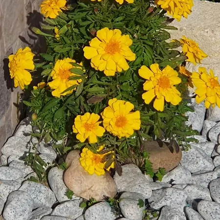 Appartamento Casa Vale