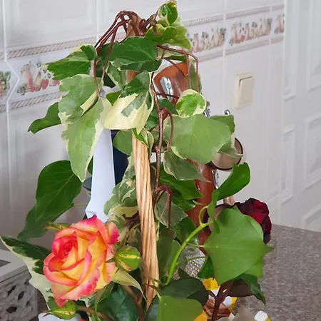 Apartament Casa Vale