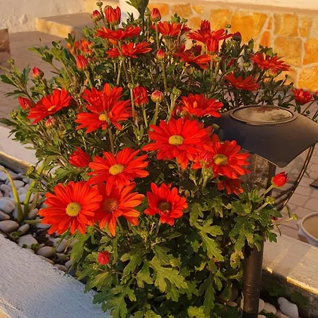 Casa Vale Appartamento