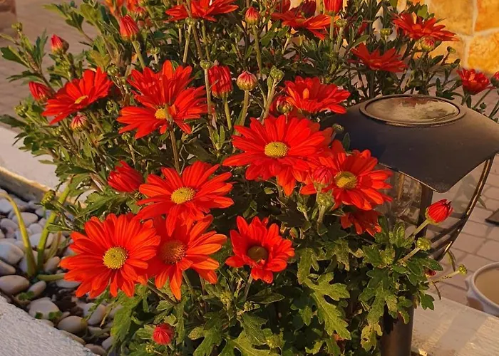 Casa Vale Appartement